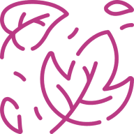 Pink abstract leaves on black background.